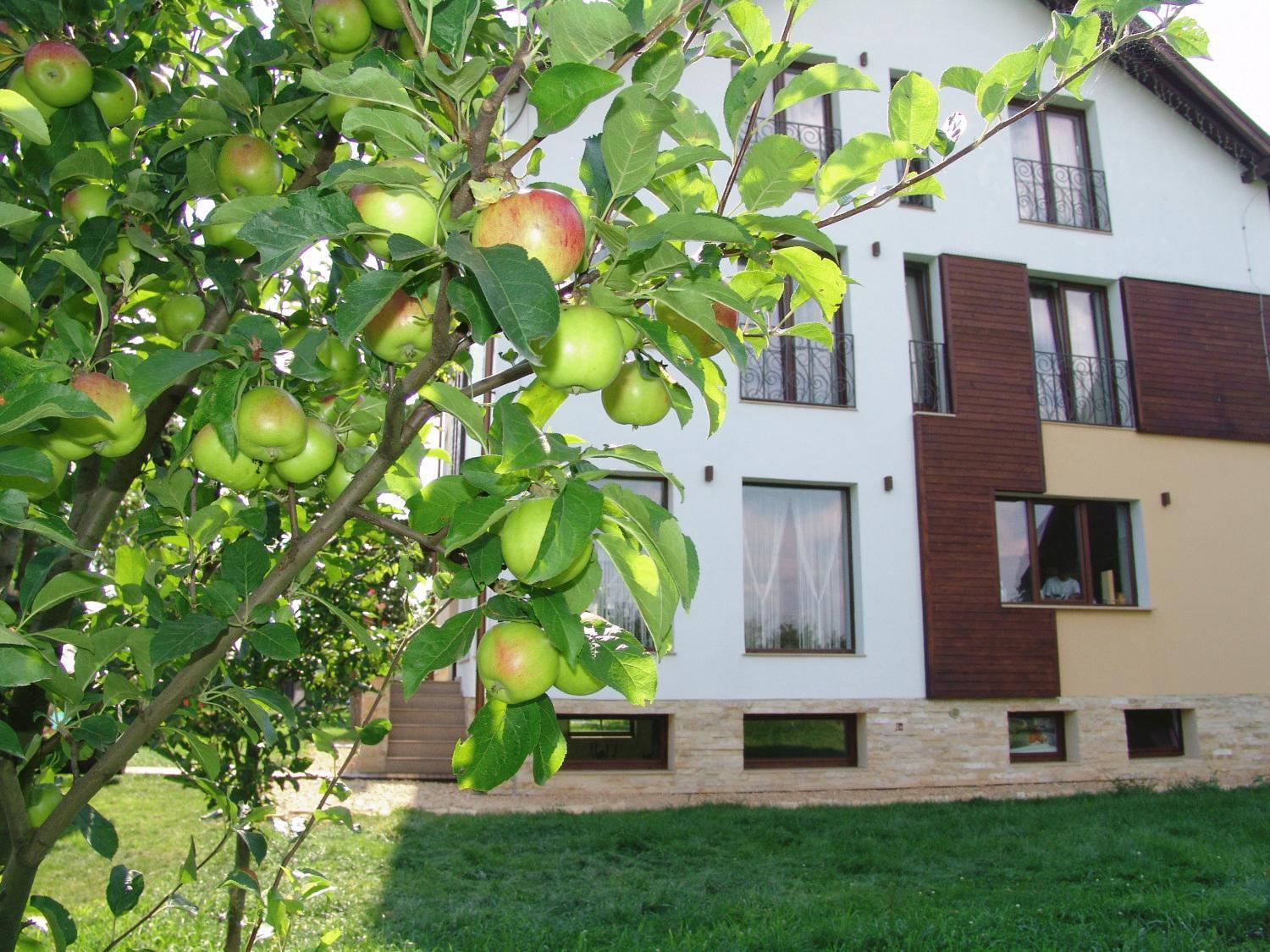 Stupina Hotel Brașov Exterior foto